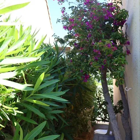 Petite Maison Climatisée 35 M2 Avec Piscine-le Lavandou-plage 700 M Hébergement de vacances