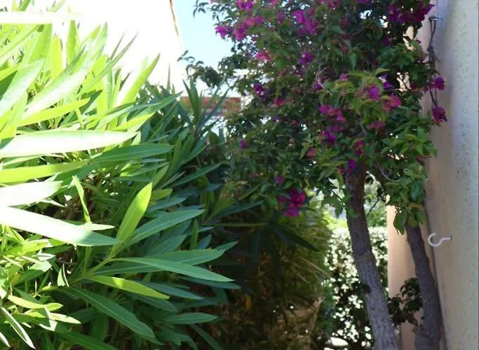 Location Bord De A 700m Avec Piscine Tatil Evi